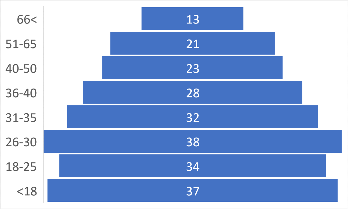 Figura 2. Grupo etário dos clientes (n=226).